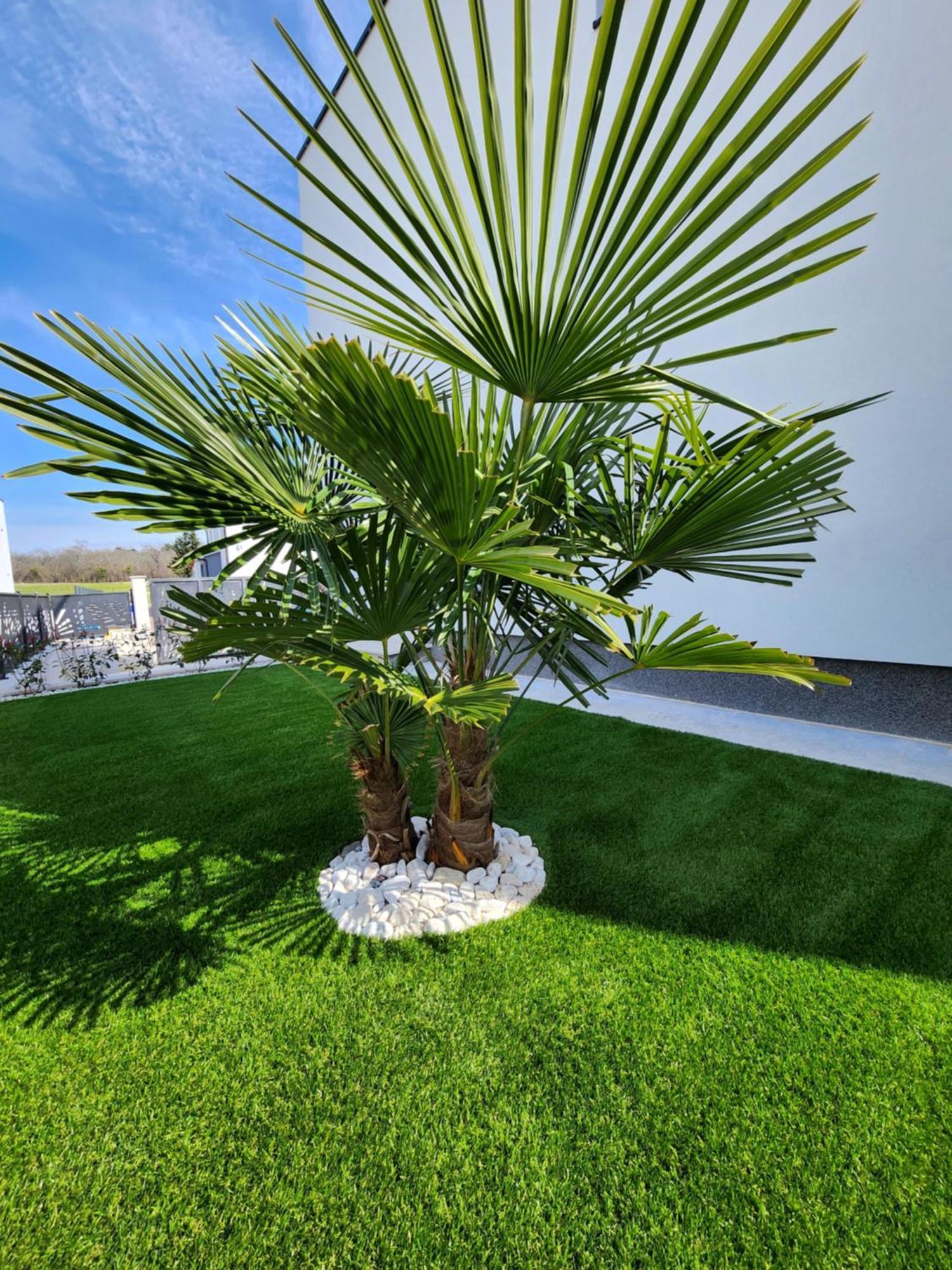 Villa Keti Poreč Exteriér fotografie
